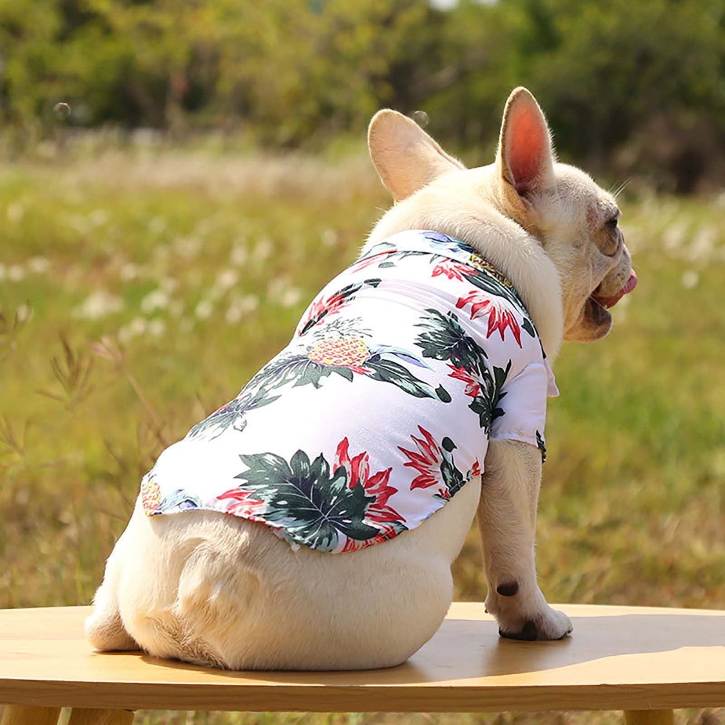 Floral Short-Sleeve Printed Pet T Shirts