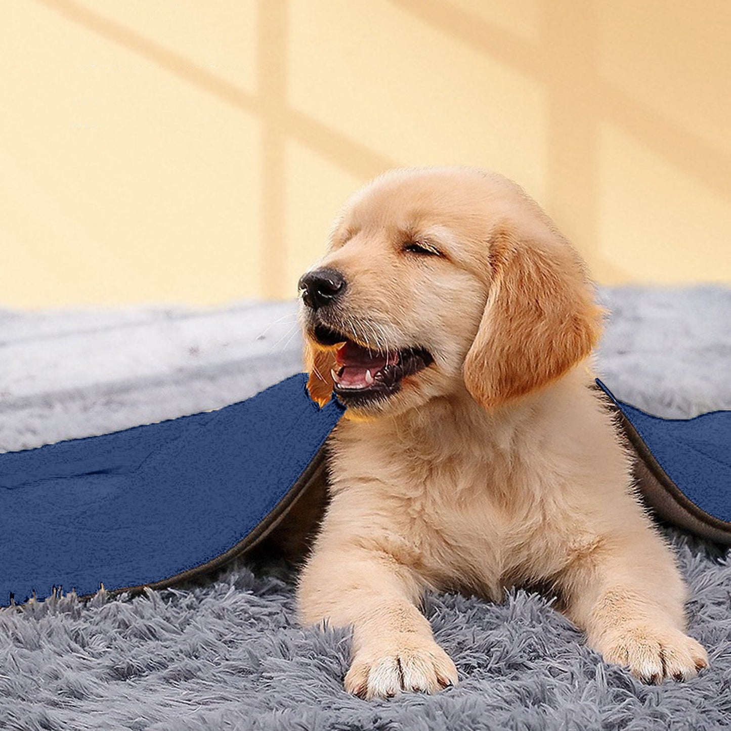 Blue Oversized Microfiber Towel for Large, Medium or Small Pets