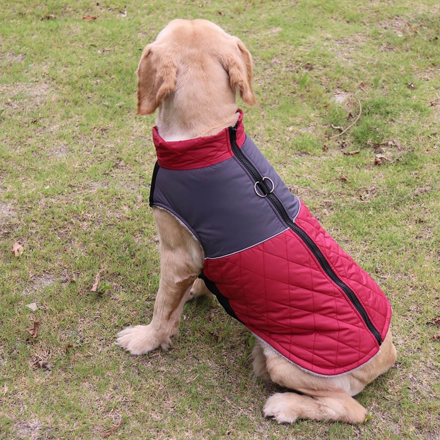Waterproof Winter Sweater For Dog