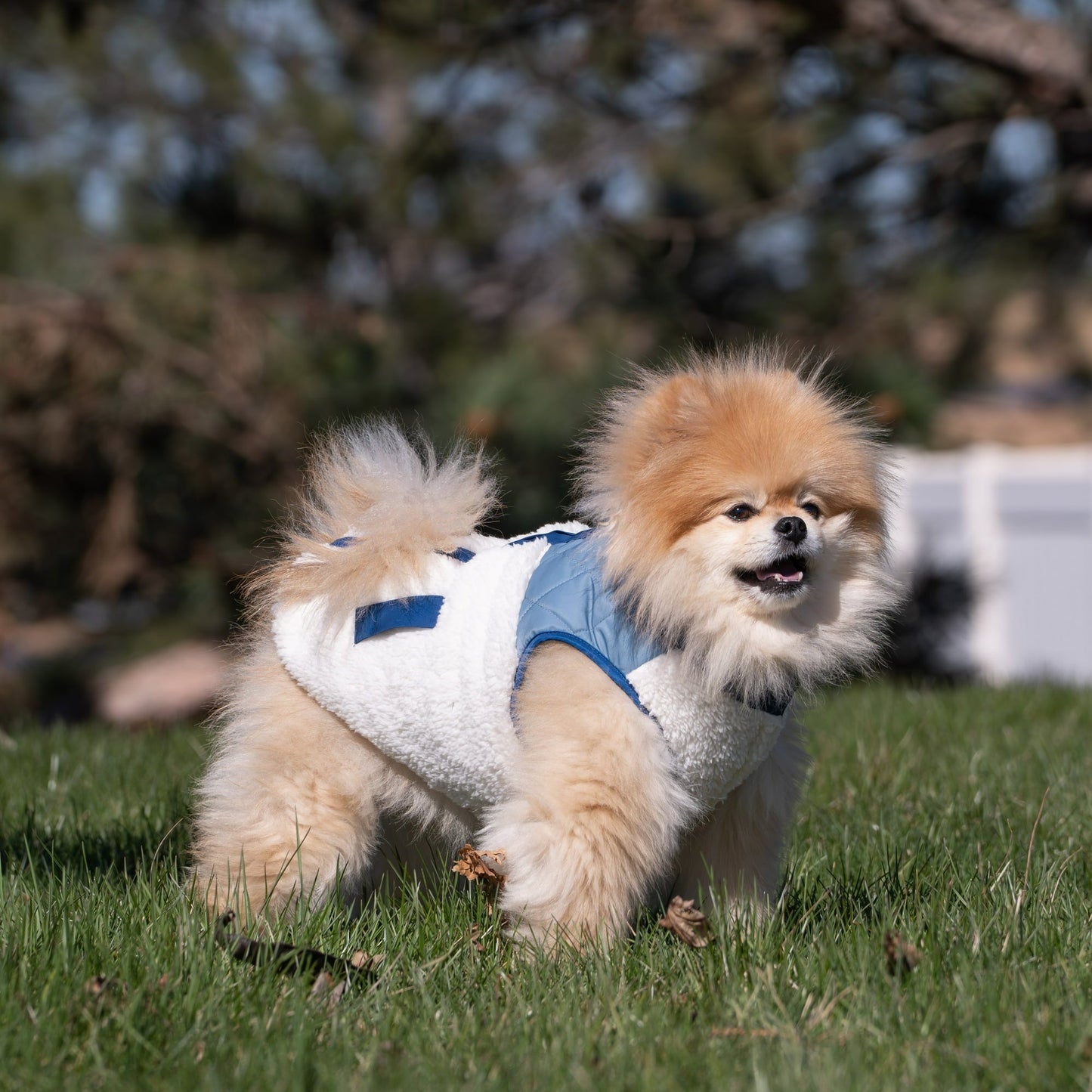 Soft Pet Jacket For Winter