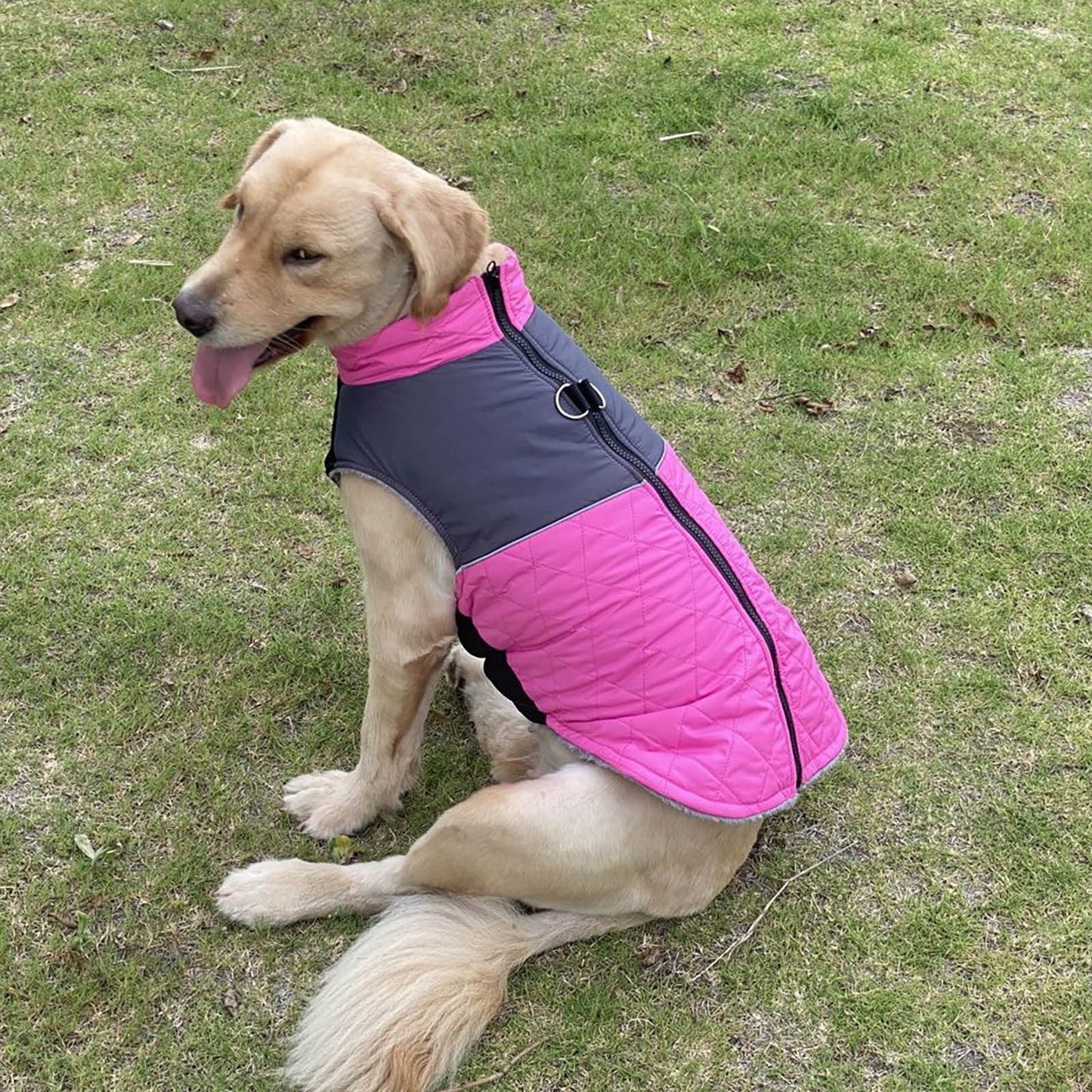Waterproof Winter Sweater For Dog