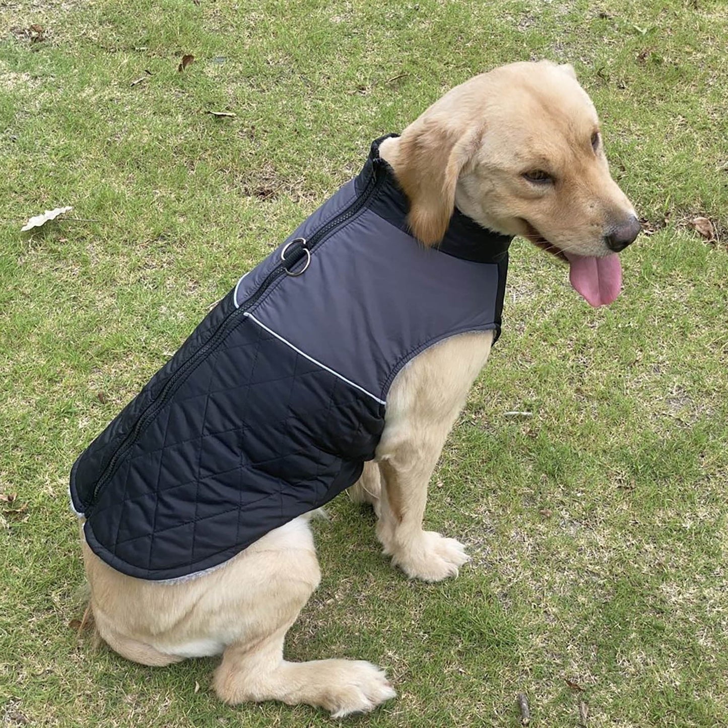 Waterproof Winter Sweater For Dog