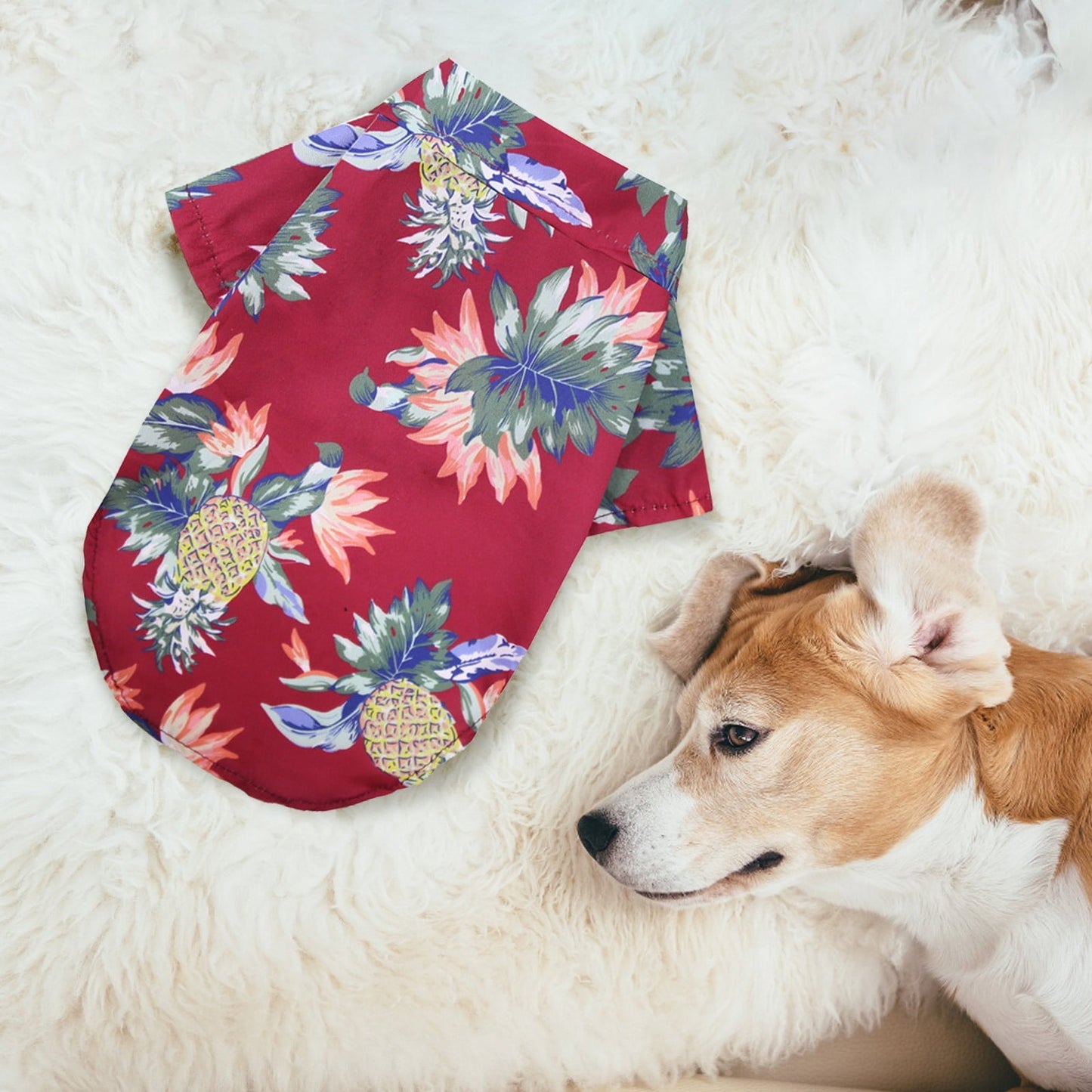 Floral Short-Sleeve Printed Pet T Shirts