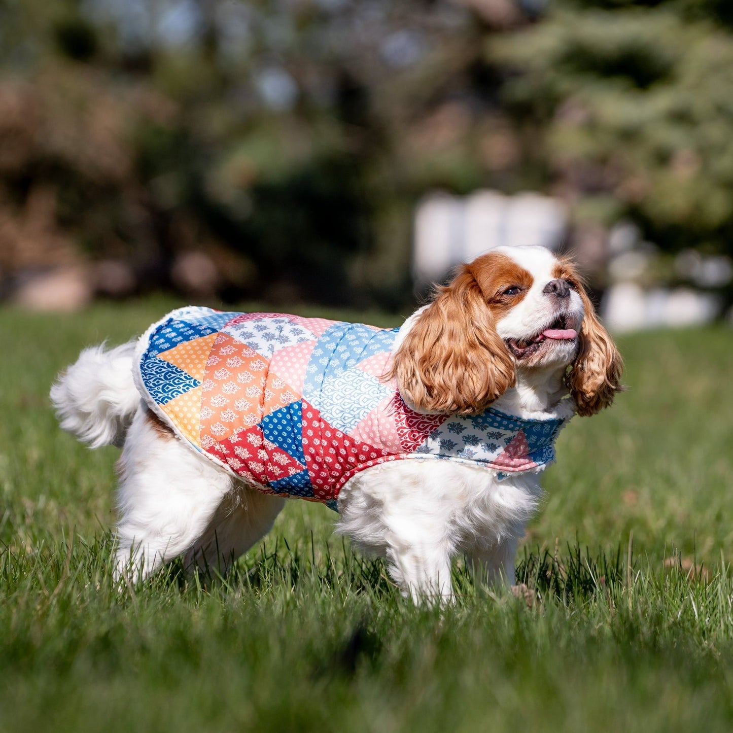 Plaid Quilted  Multi-Color Pet Jacket